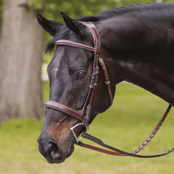 buy Padded Poll Relief Monocrown English Bridle