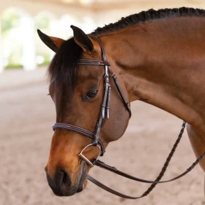buy Pro Series Classic Hunter Bridle