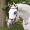 buy Anatomic Poll Relief Monocrown English Bridle