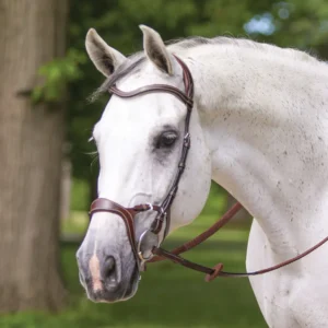 buy Anatomic Poll Relief Monocrown English Bridle